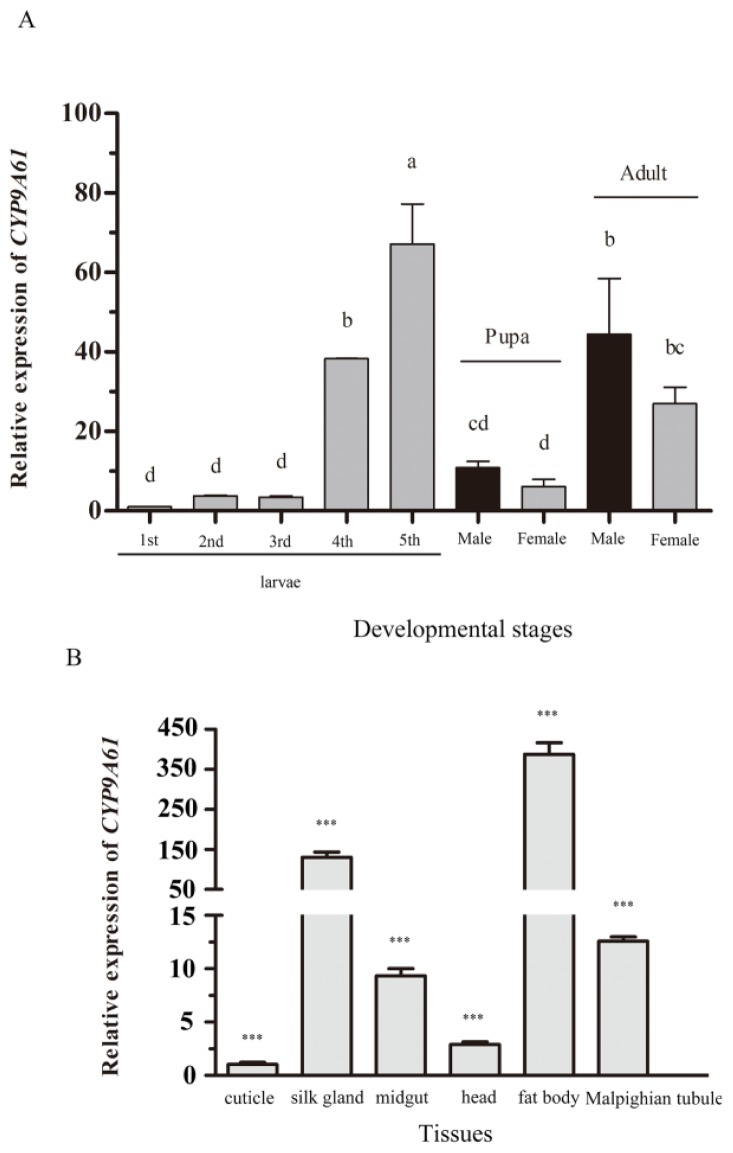 Figure 5.