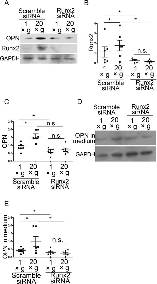 Fig 5