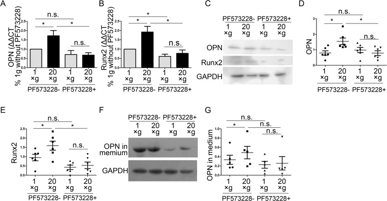 Fig 11