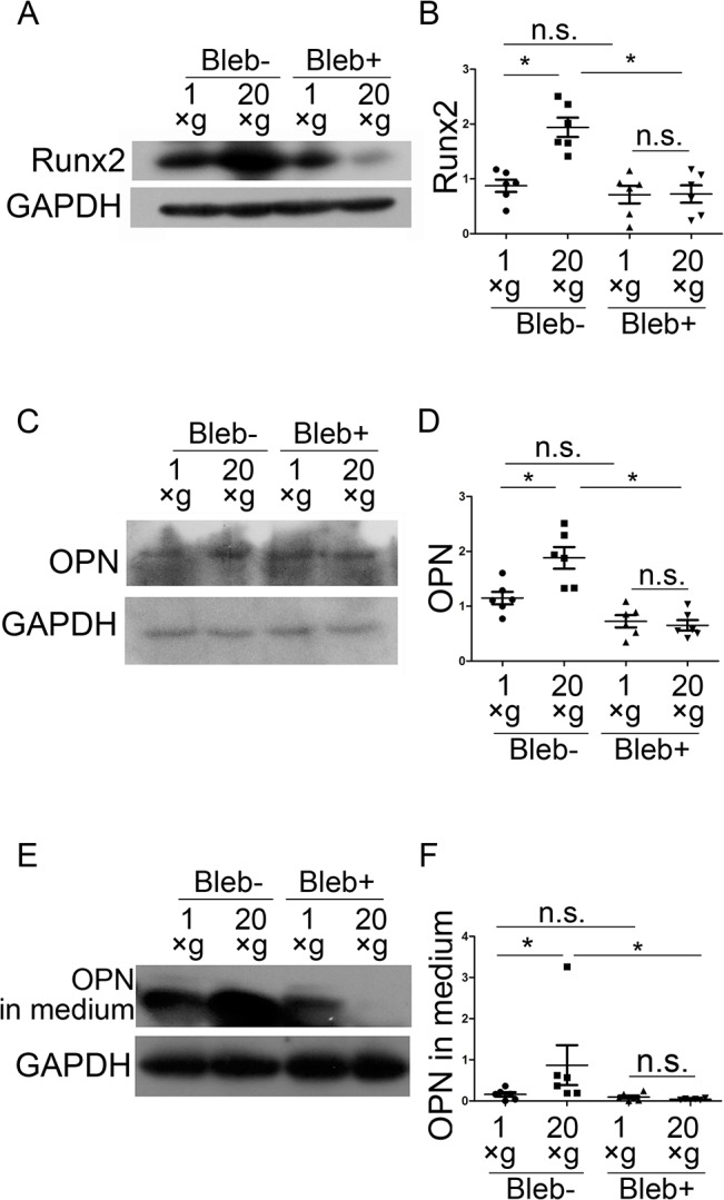 Fig 9