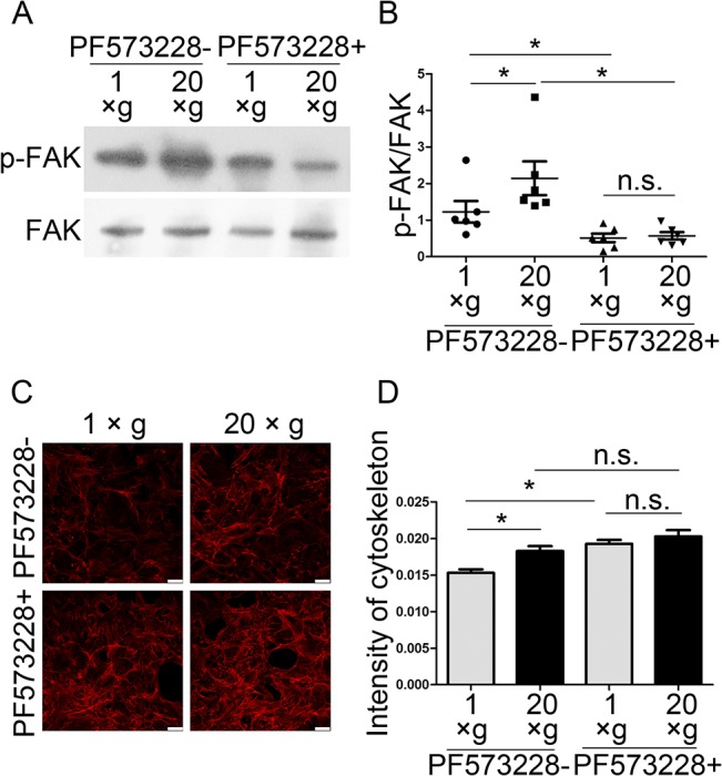 Fig 10