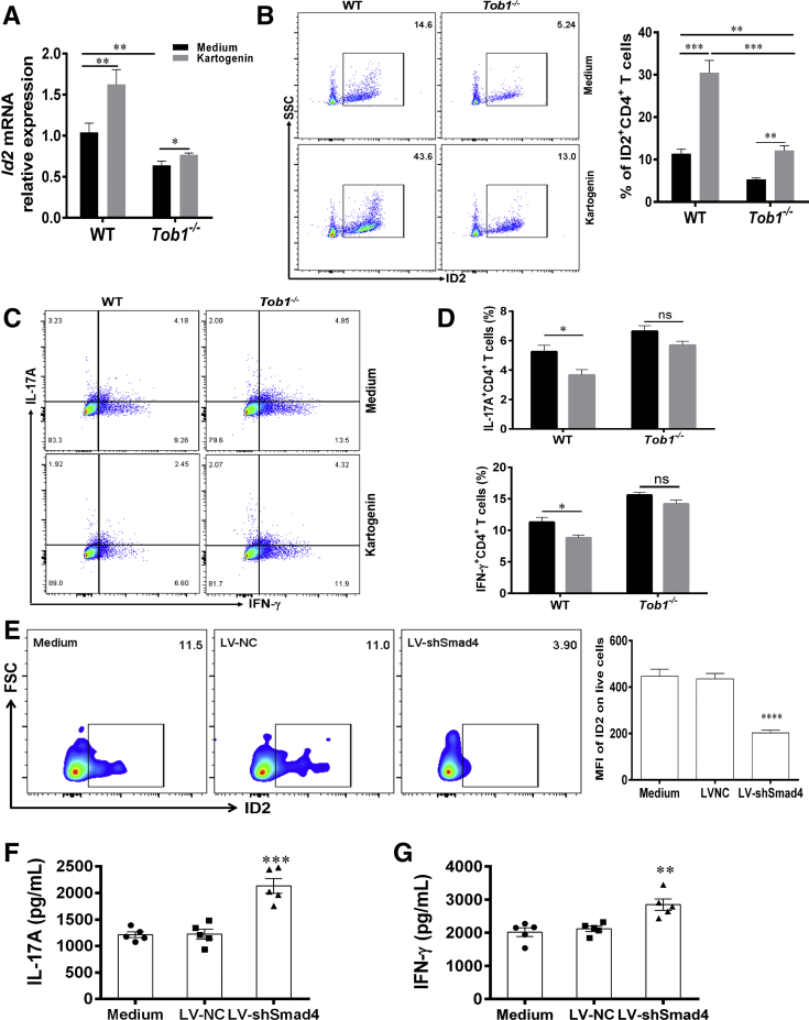 Figure 11