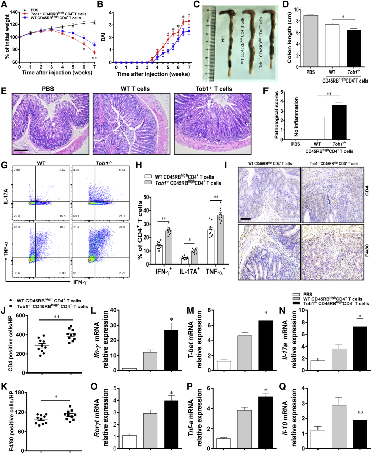 Figure 6