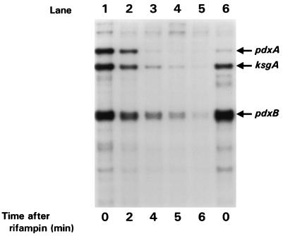 FIG. 4.