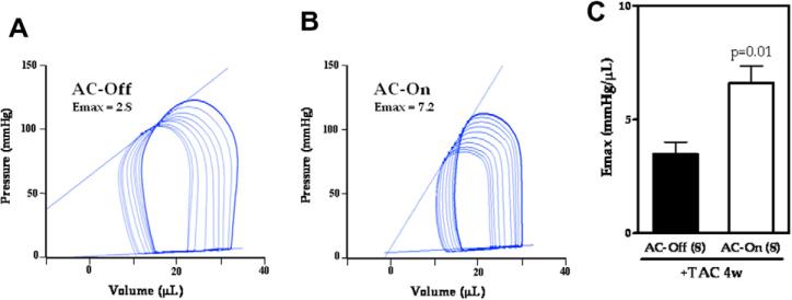 Fig. 2