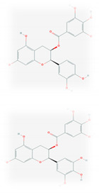 graphic file with name molecules-26-01775-i001.jpg