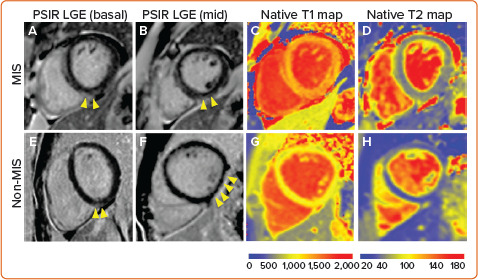 Figure 2: