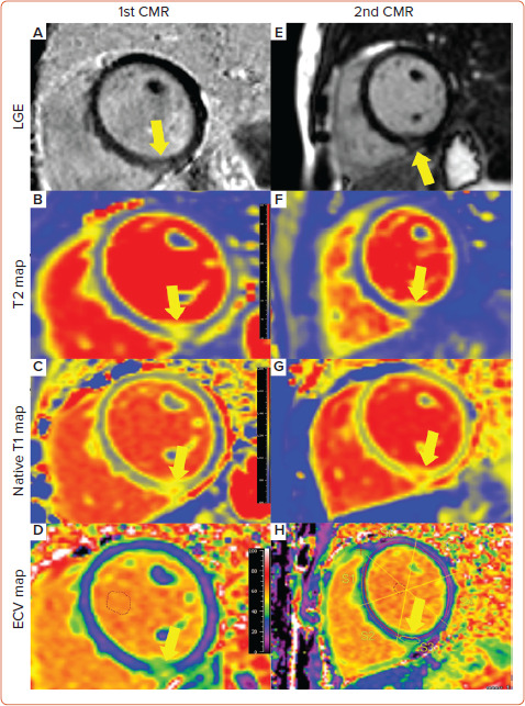 Figure 4: