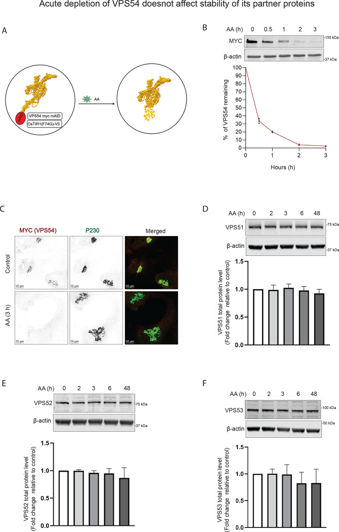 Figure 2: