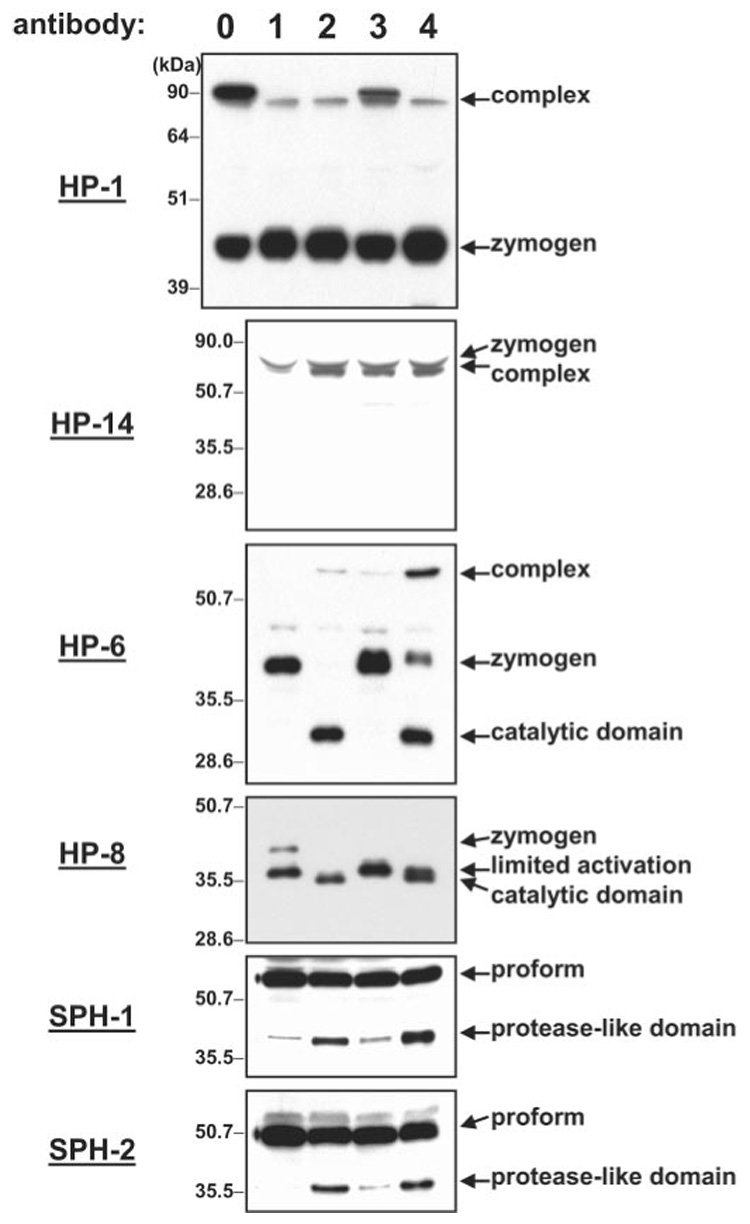 FIG. 10