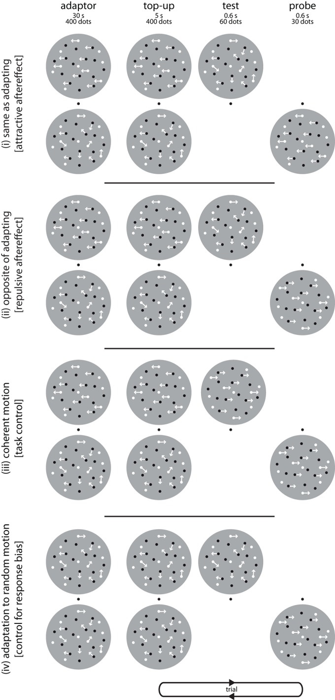 Figure 2—figure supplement 1.