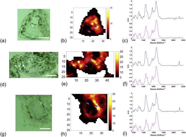 Fig. 3