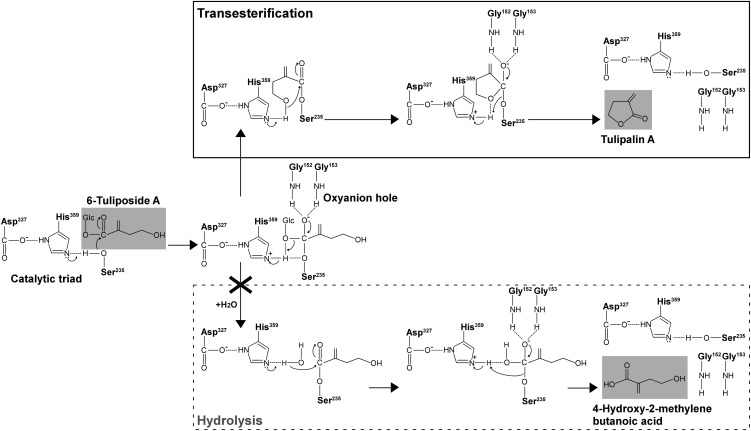 Figure 7.