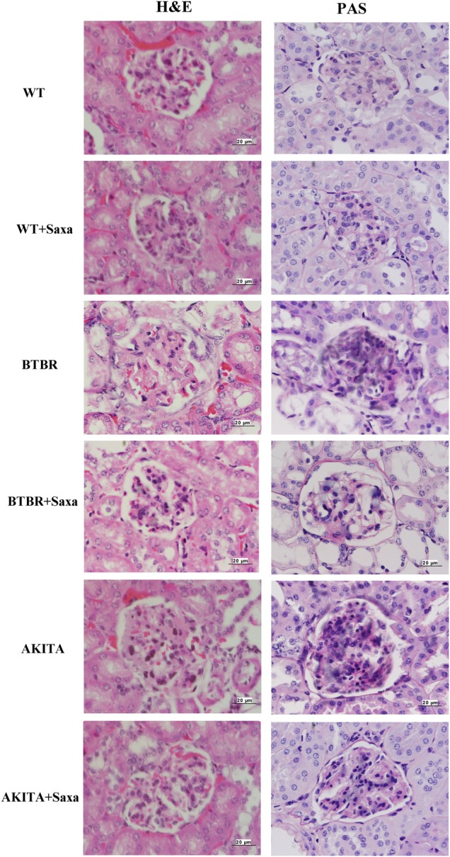 Figure 7