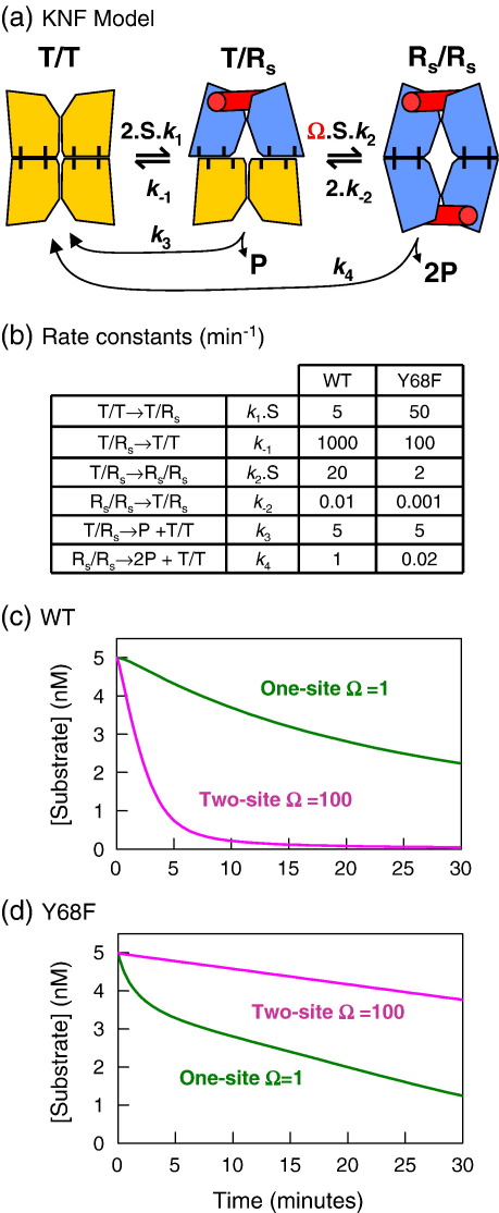 Fig. 8