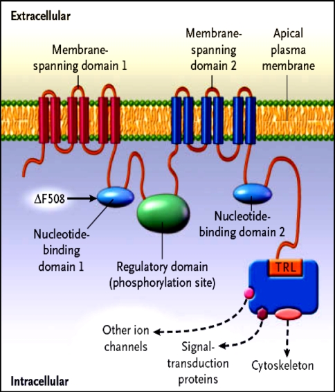 Fig. 2