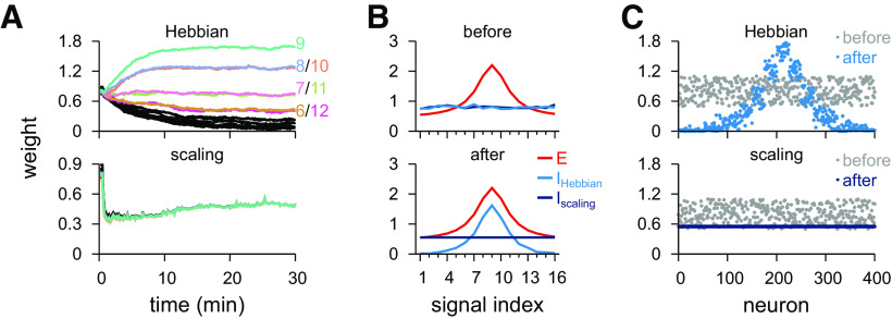 Figure 7.