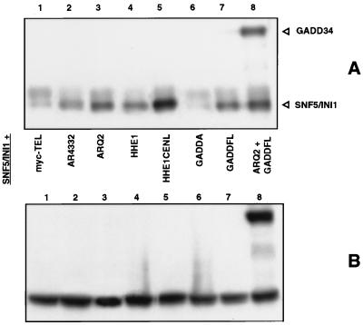 FIG. 5