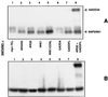 FIG. 5