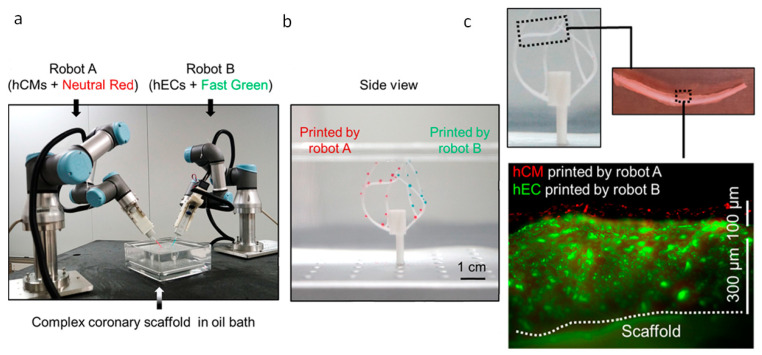 Figure 16