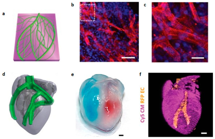 Figure 15