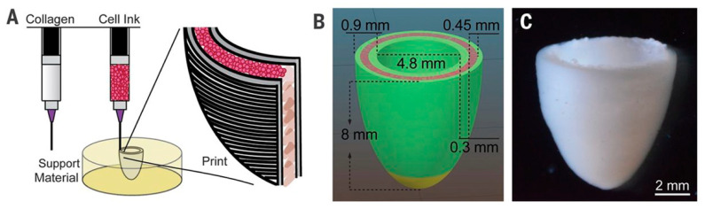 Figure 14