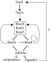 Fig. 5.