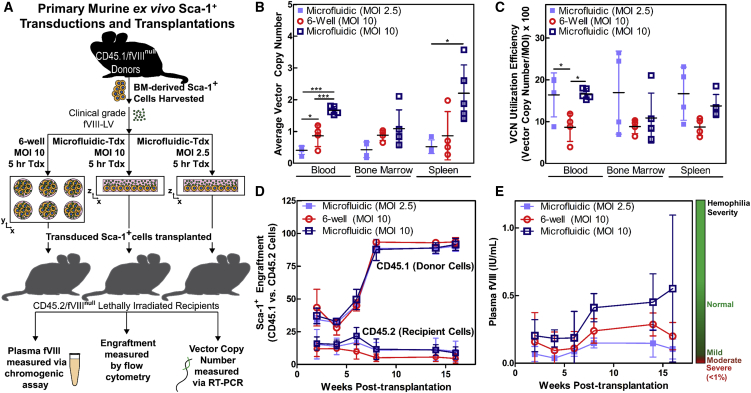 Figure 4