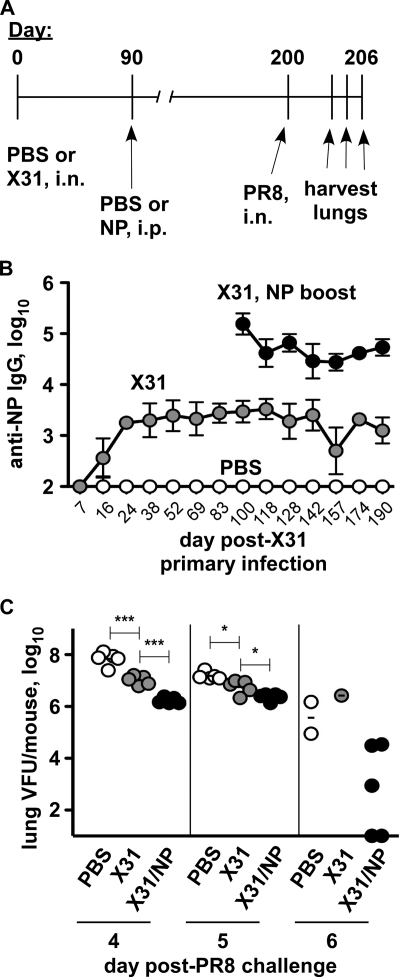 Fig. 9.