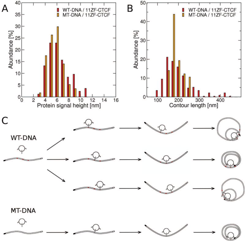 Fig. 8