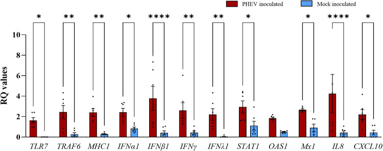 FIG 5