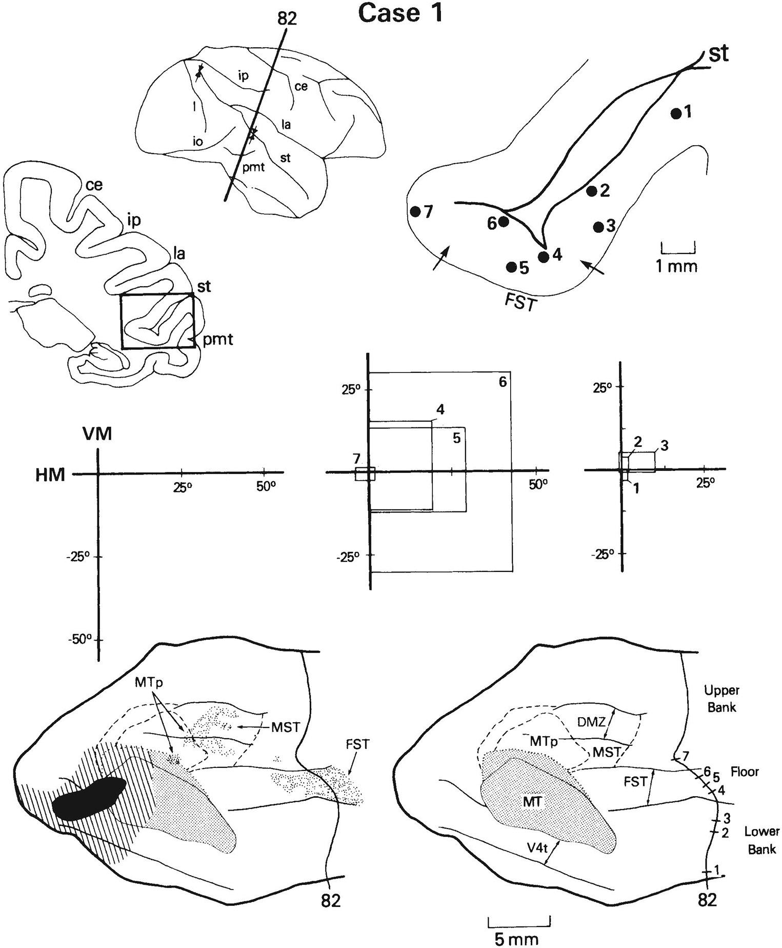 Fig. 13.