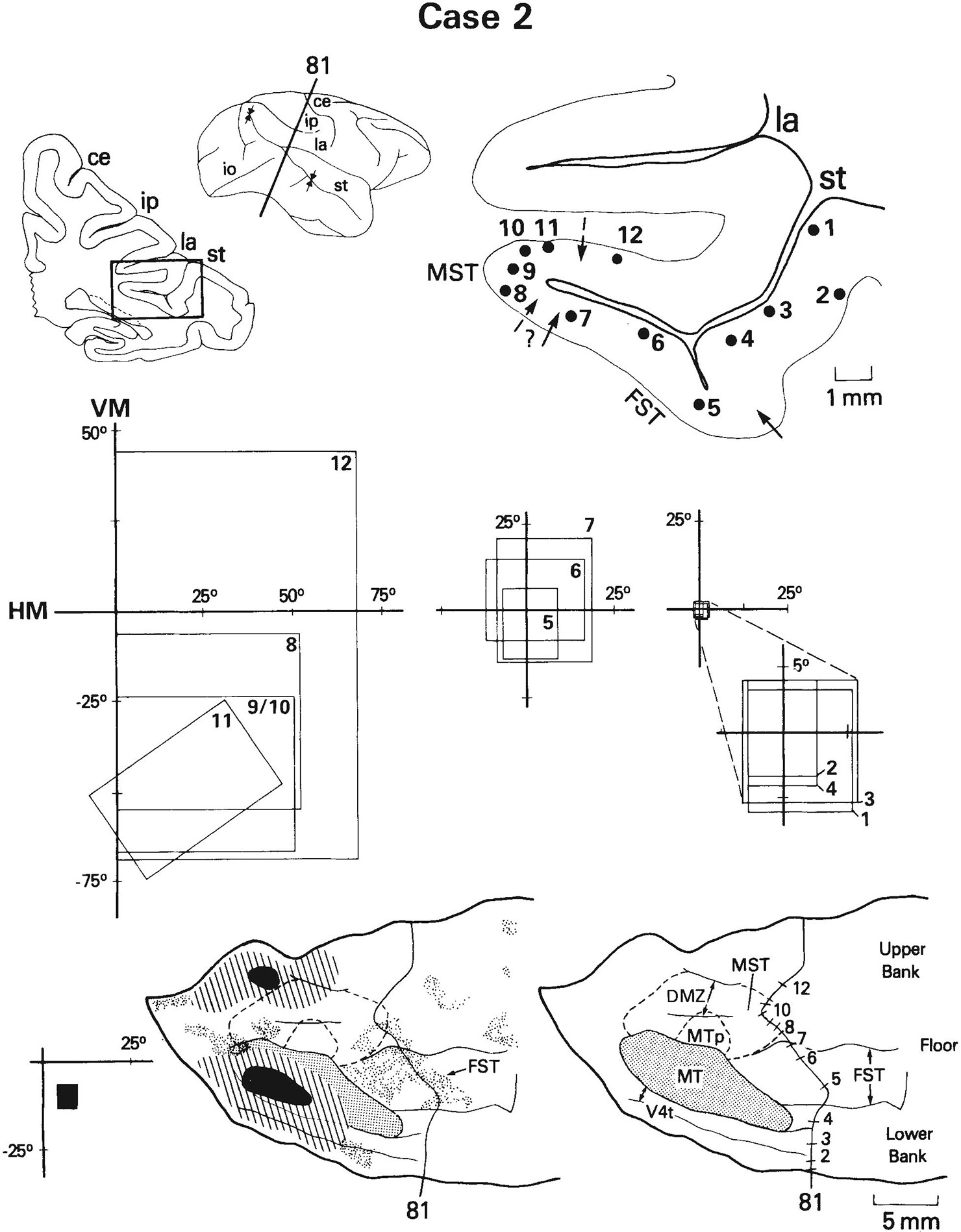 Fig. 14.