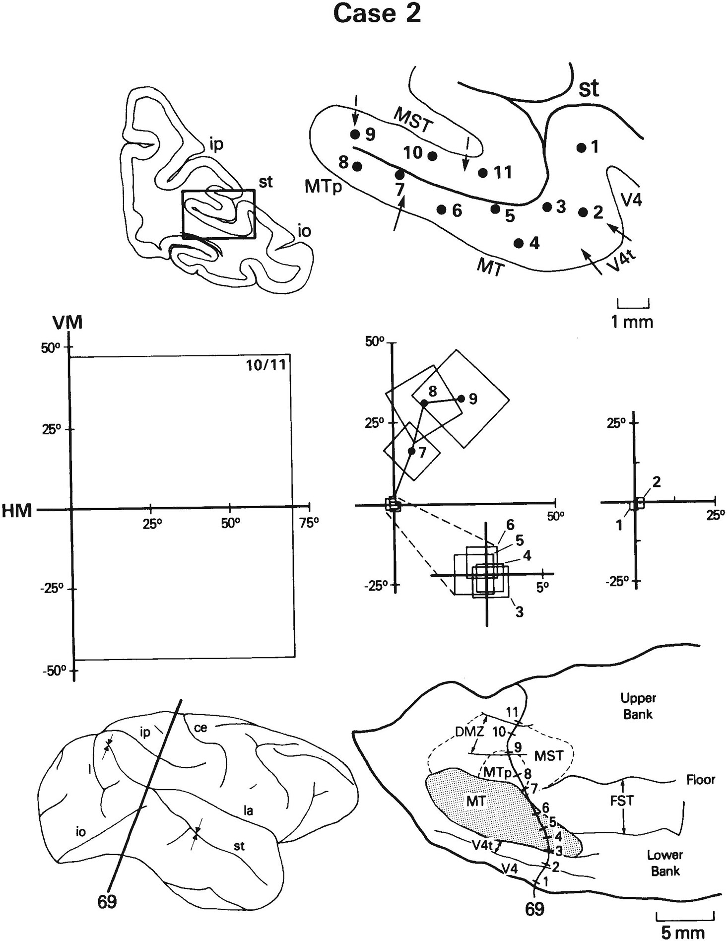 Fig. 11.