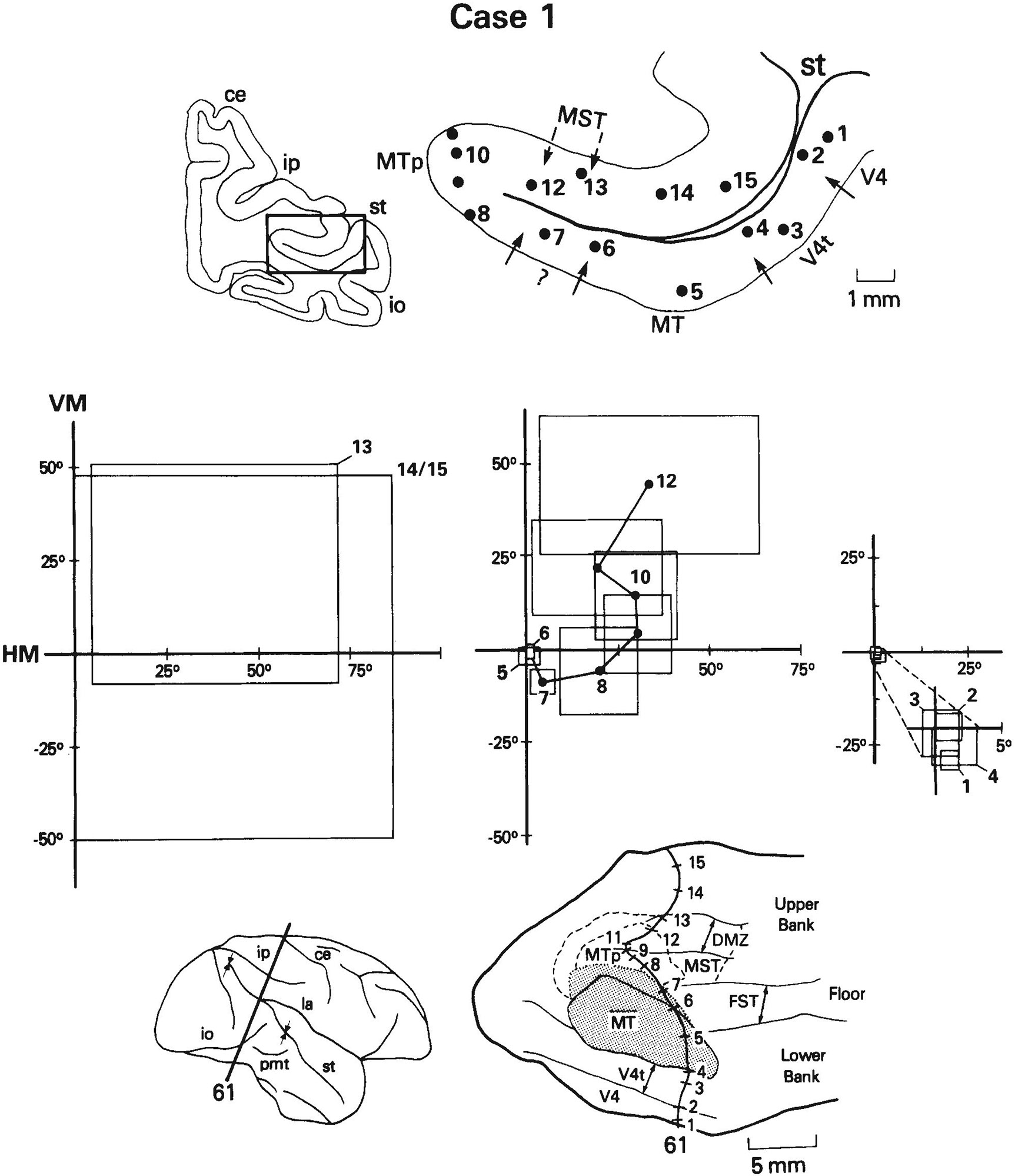 Fig. 10.