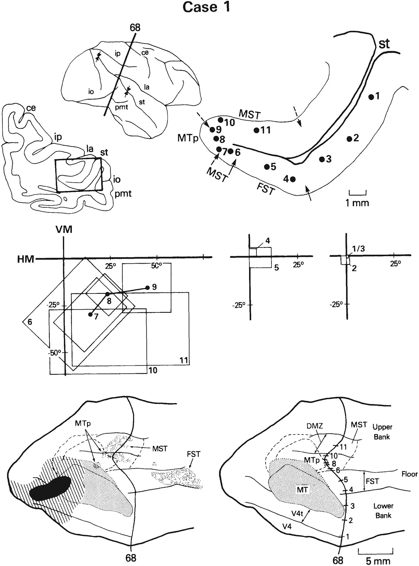 Fig. 12.