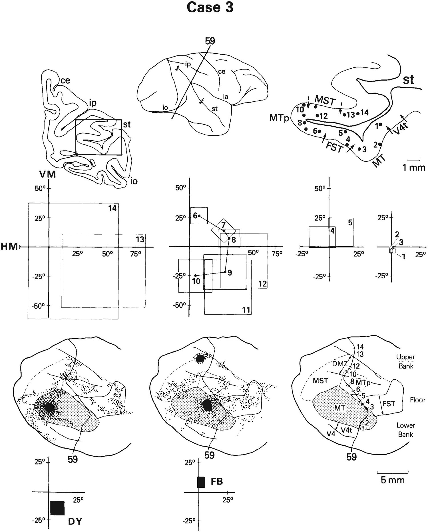 Fig. 15.