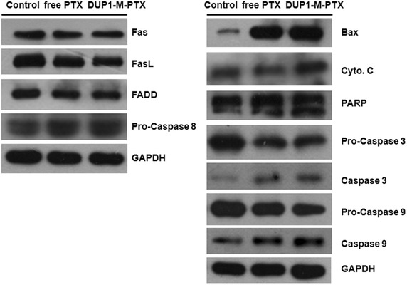 Fig. 9