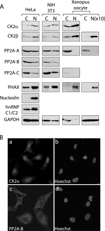 FIG. 7.