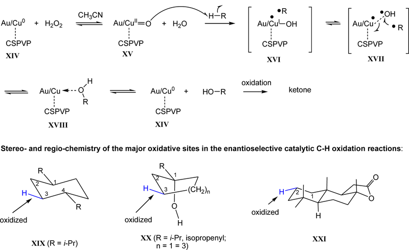 Scheme 4.