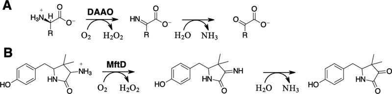 Scheme 1 –