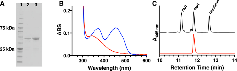 Figure 2 –