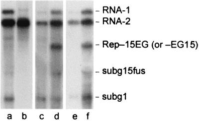 FIG. 6