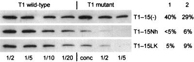 FIG. 5