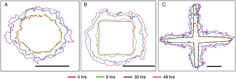 Fig 2