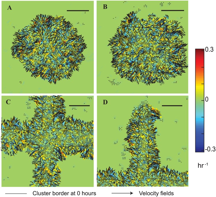 Fig 3