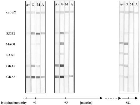 FIG. 1.