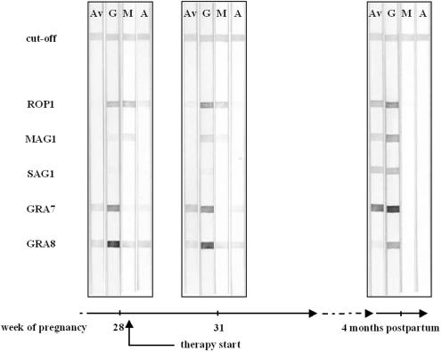 FIG. 2.