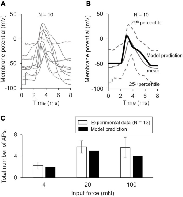 FIGURE 3