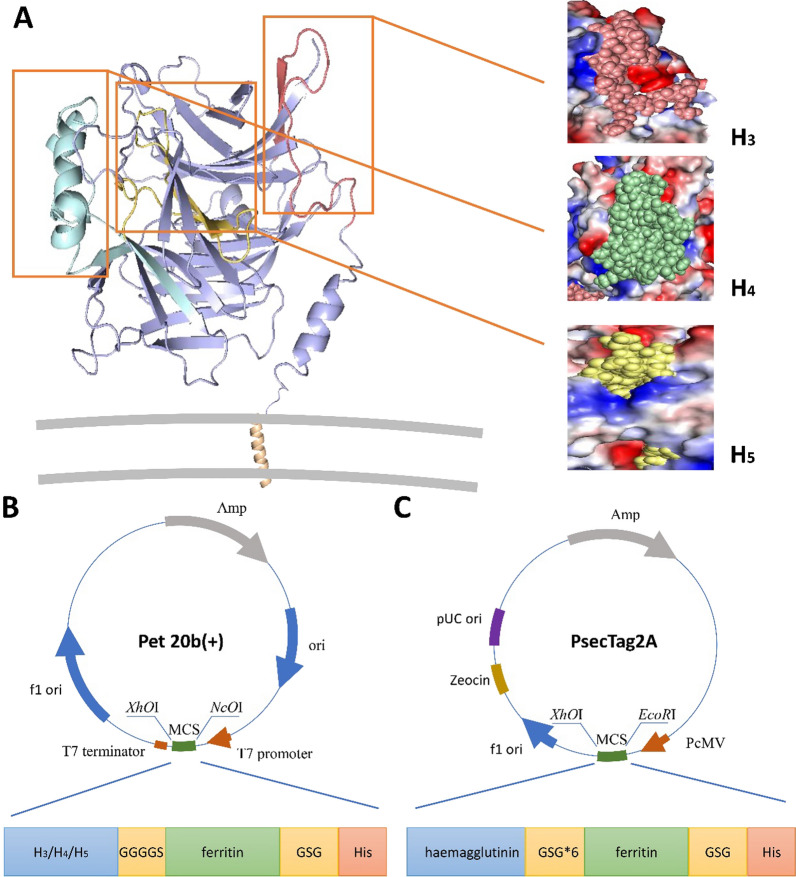 Fig. 1